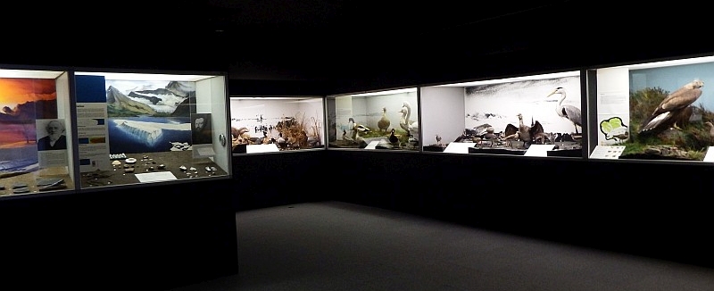 Natural History room